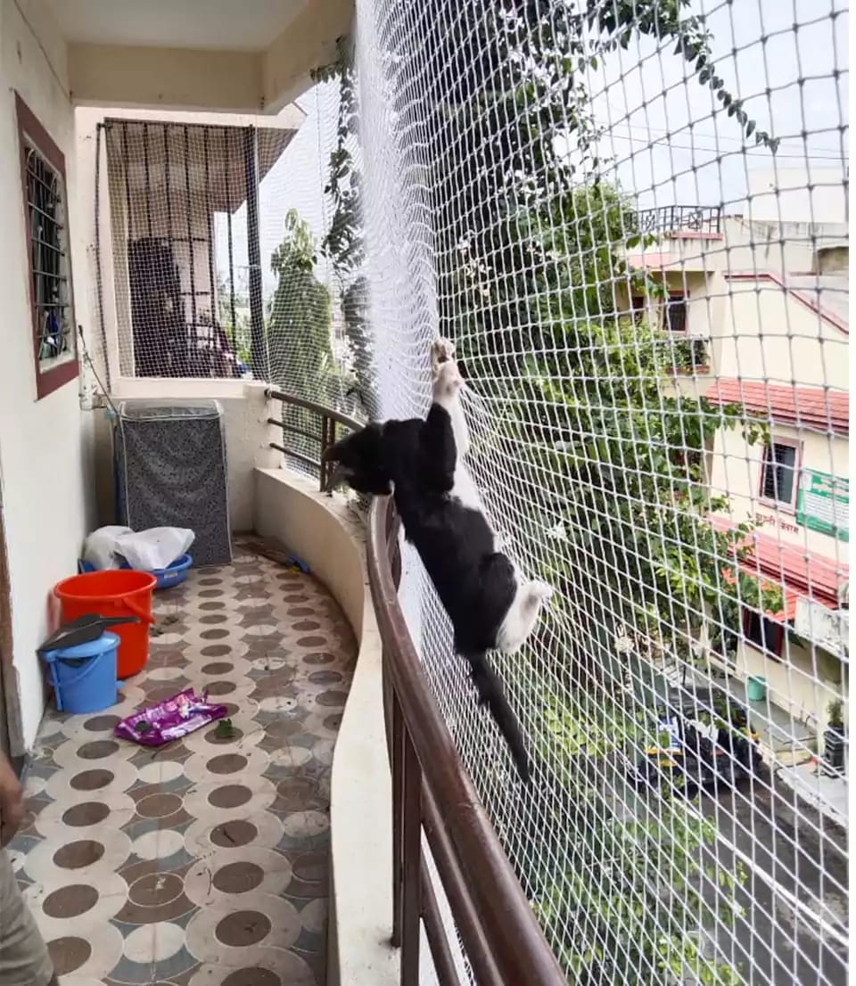 Pets Safety Nets Installation